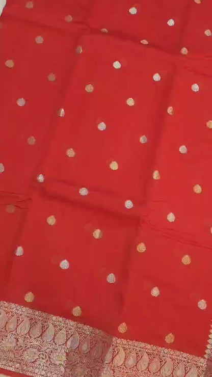 Raw mango banarasi saree