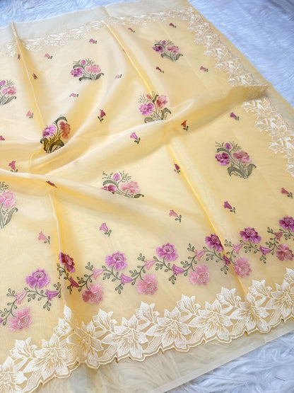 Banarasi kora organza embroidery saree