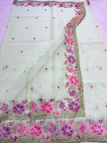 Banarasi kora organza embroidery saree