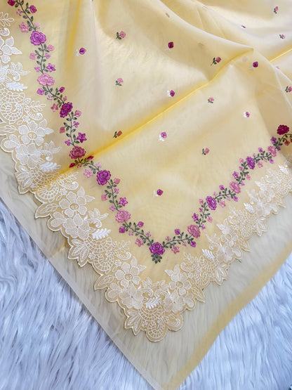 Banarasi kora organza embroidery saree