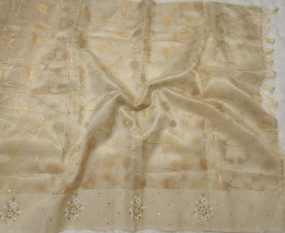 Tissue Kota Banarasi Sarees