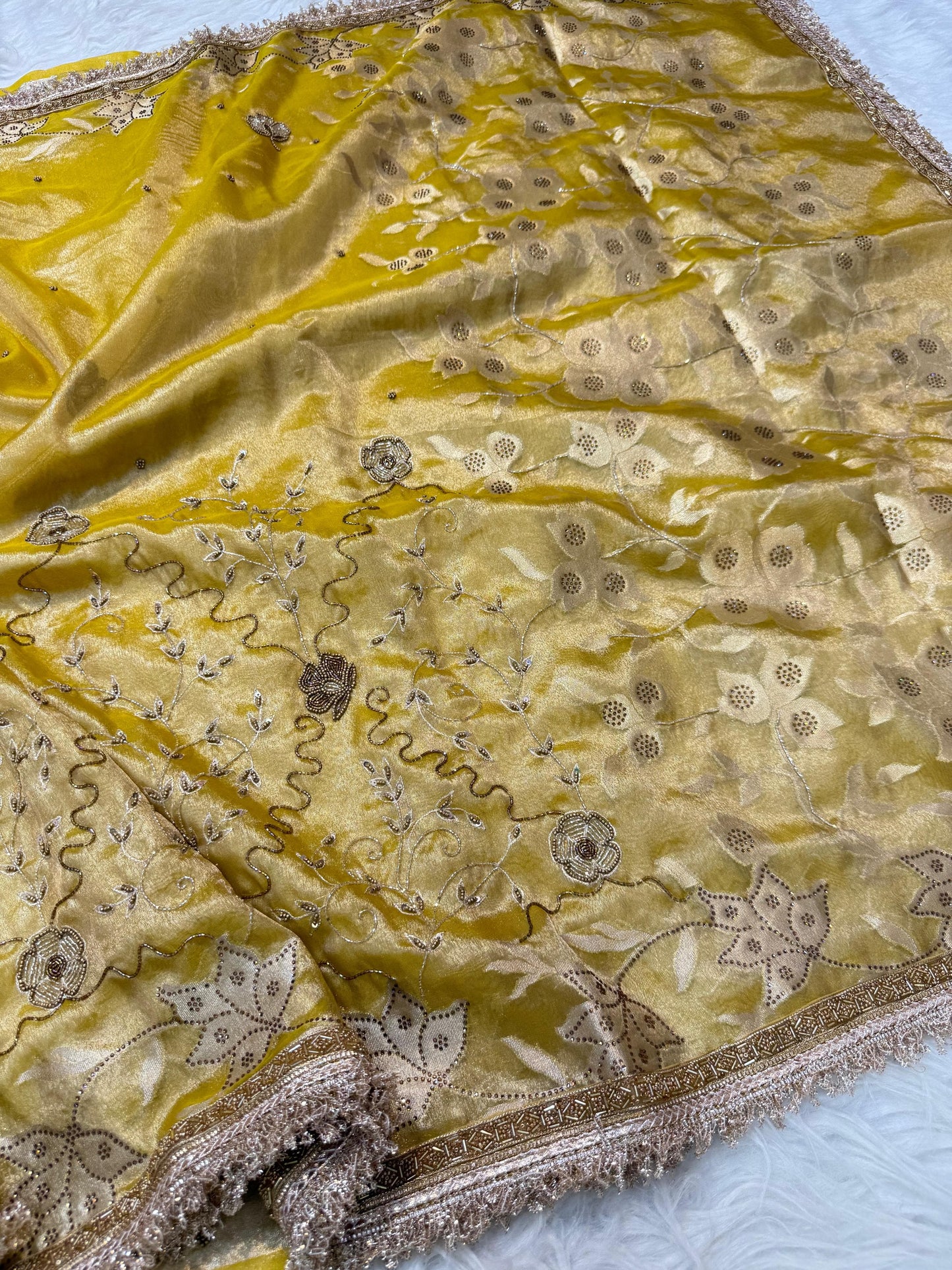 Tissue Aari Work Banarasi silk saree